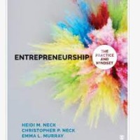Image of Entrepreneurship : the practice and mindset