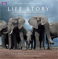 Life story: many lives, one epic journey